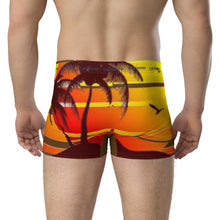 Load image into Gallery viewer, Boxer Briefs