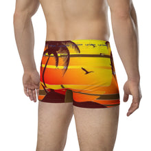Load image into Gallery viewer, Boxer Briefs