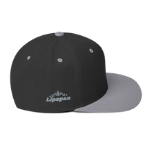 Load image into Gallery viewer, Snapback Hat - Platinum