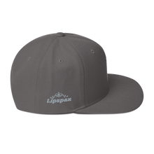 Load image into Gallery viewer, Snapback Hat - Platinum