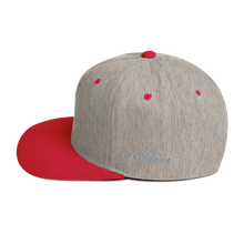 Load image into Gallery viewer, Snapback Hat - Platinum