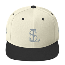 Load image into Gallery viewer, Snapback Hat - Platinum
